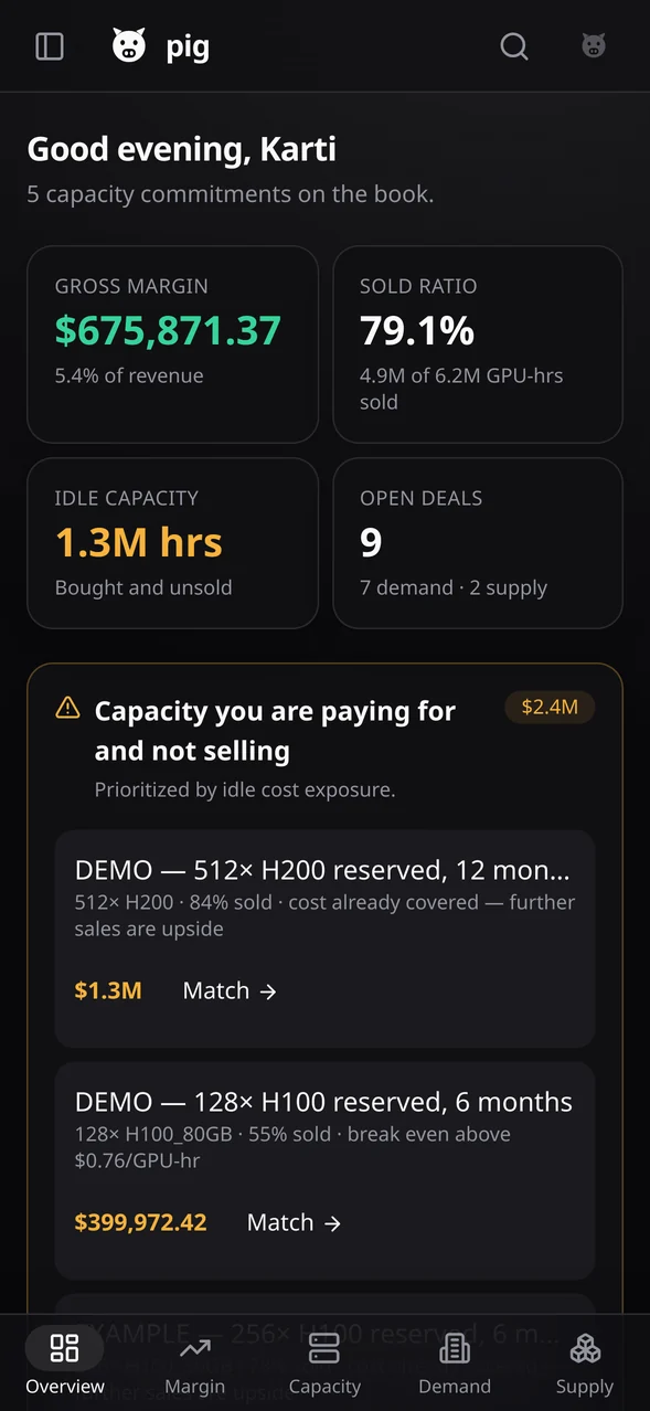 PIG Overview at 393px in dark mode